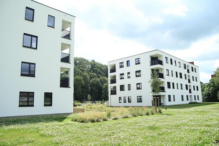 Voir toutes les images de Vue Verte - Jambes et plus