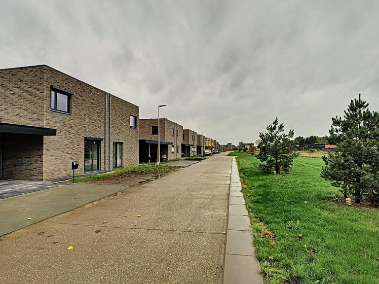 Bekijk alle afbeeldingen van Kattestraat en meer