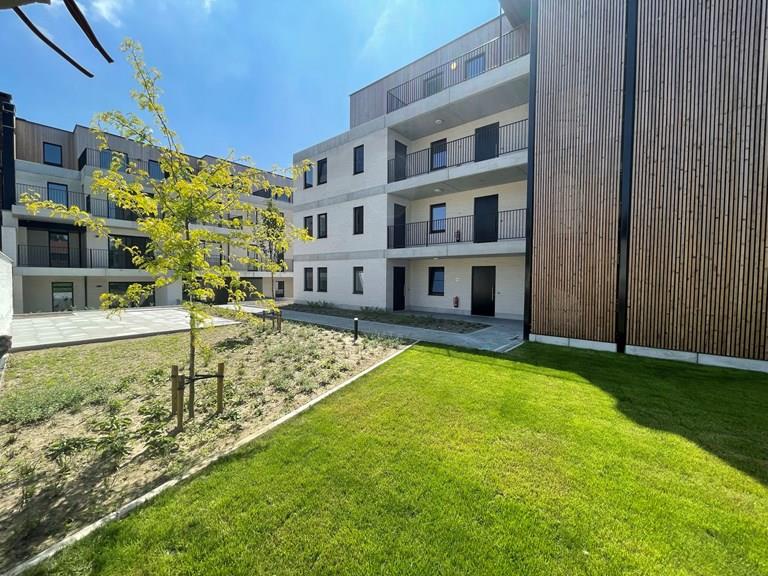 Voir toutes les images de Project Hoppe et plus