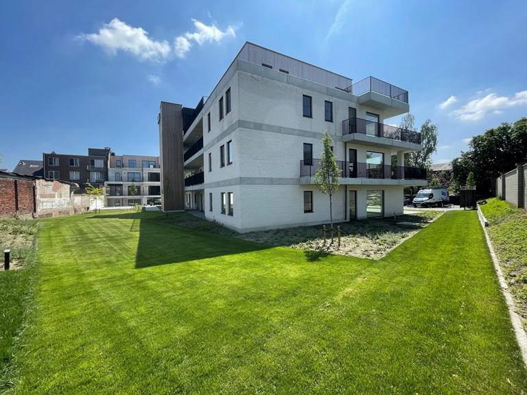 Voir toutes les images de Project Hoppe et plus