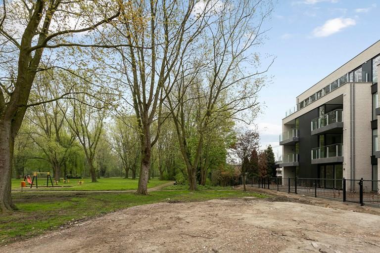 Bekijk alle afbeeldingen van Park den Blijk en meer