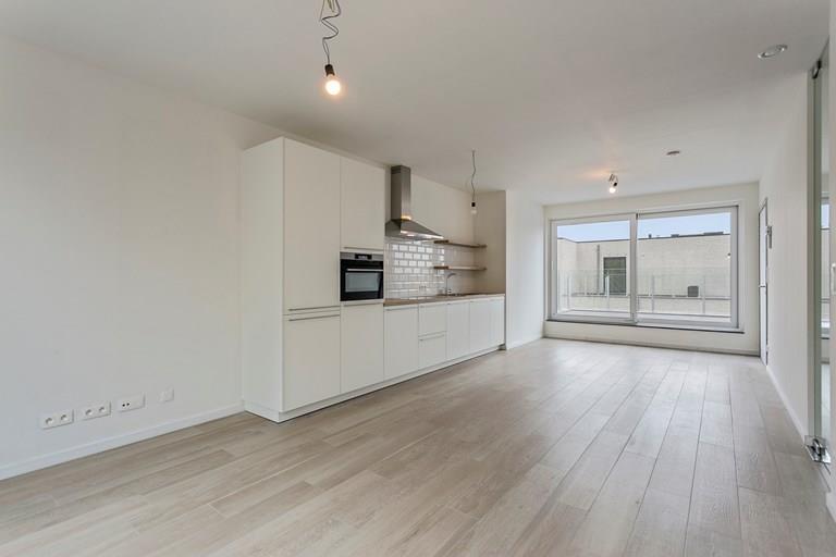 Voir toutes les images de Park den Blijk et plus